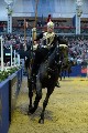 Cavalry - 00201
